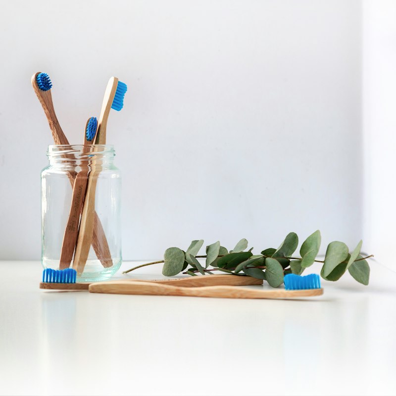 Eco-Friendly Bamboo Toothbrush Family Pack (Set of 4)